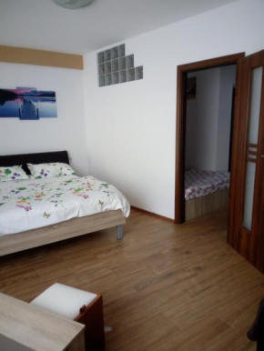 Apartament si Studio Daniel